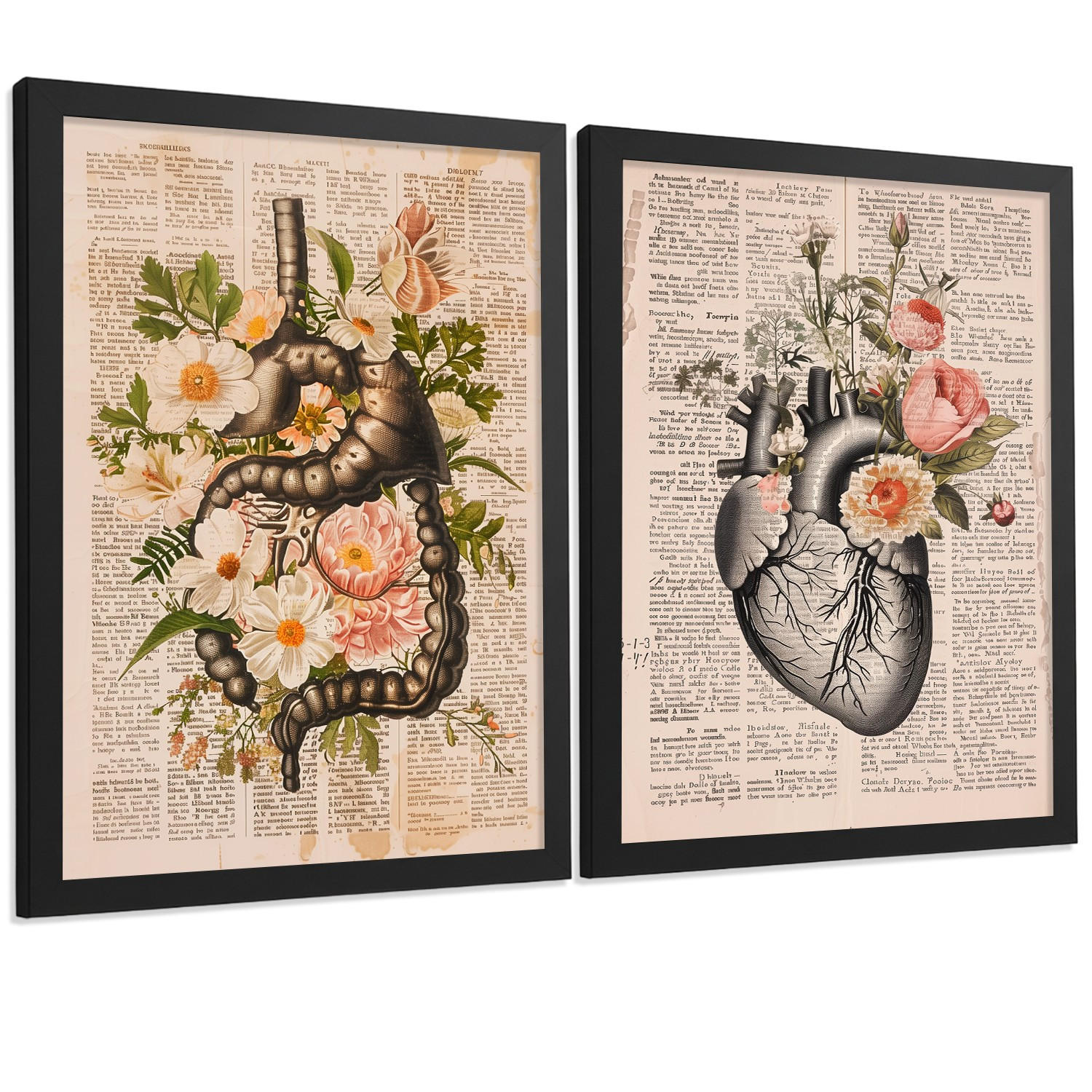 POSTER Set aus 2 Anatomie Mensch Drucke und Wandbilder mit Verdauungssystem Darm und Herz Klassisches Florales Design Größe Schwarzer Rahmen A4 - Schwarz, Papier (21/29.7/3cm) - Nacnic