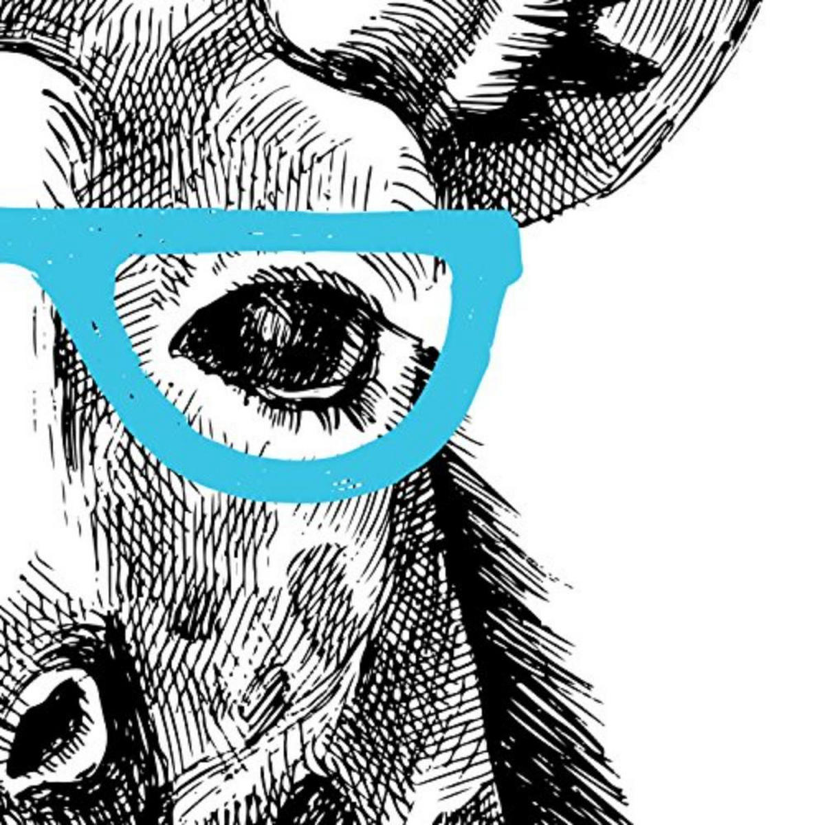 POSTER Set mit 4 „Hipster Animals“ A4 Schwarzer Rahmen - Schwarz, Papier (29.7/3cm) - Nacnic