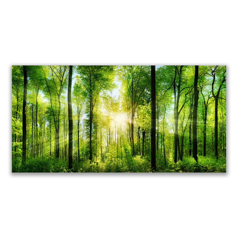 LEINWANDBILD 120x60 cm Sonnenstrahlen im Wald - Gelb/Hellgrün, Textil (120/4cm) - TULUP