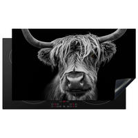 HERDABDECKPLATTE Schottischer Highlander - Hörner - Schwarz - Weiß - Kuh - Wild - Tiere Induktionsschutz 91.6x52.7 cm - Schwarz, Kunststoff (91.6/52.7/0.2cm) - MuchoWow