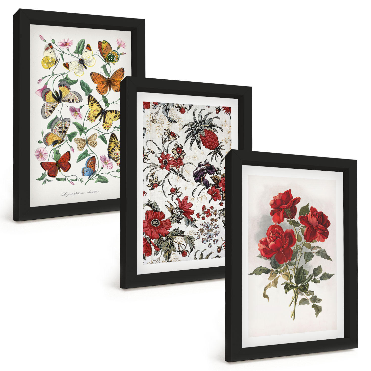 BILDER SET 3er Set - 20x30 cm Schwarzer Rahmen - Schmetterlinge, Blumen, rote Rosen - Schwarz, Kunststoff (20/30cm) - TULUP