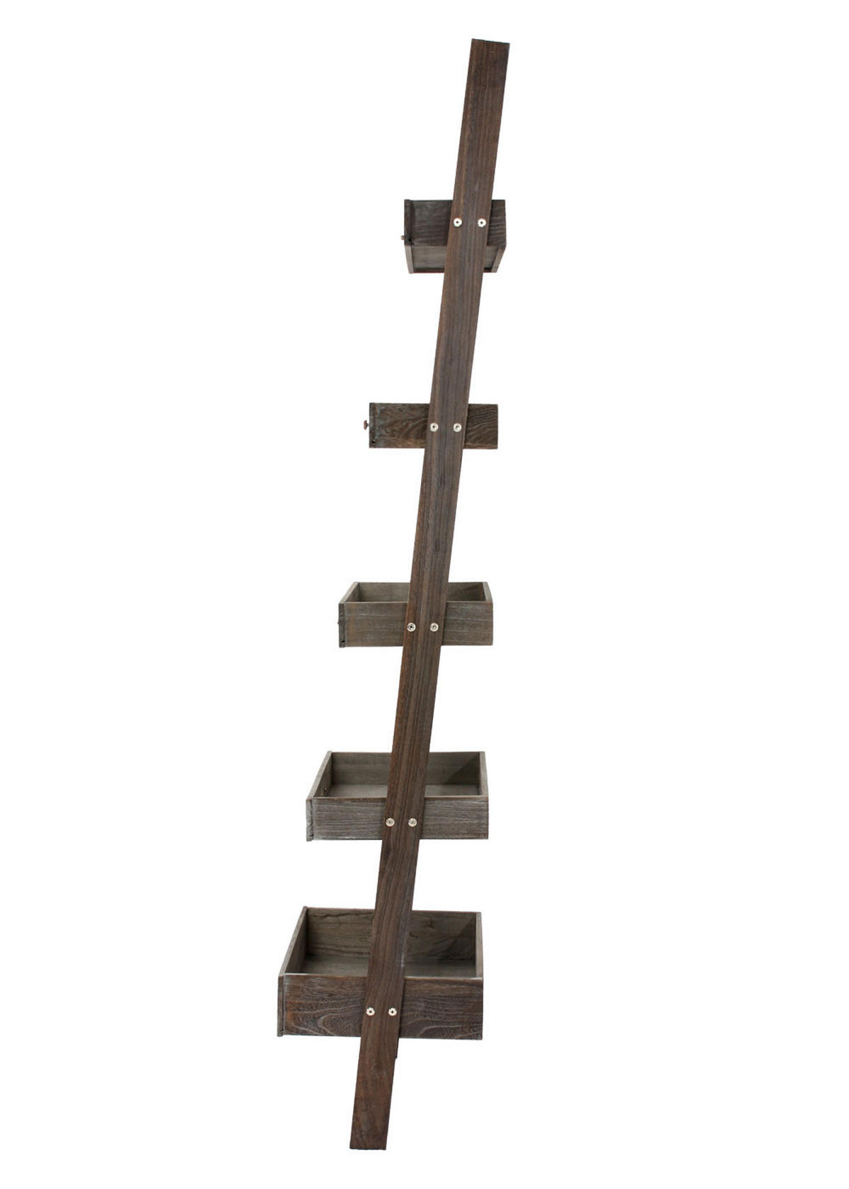 PFLANZREGAL BLUMENSTÄNDER Braun - Braun, Holz (43/169/32cm) - MCW