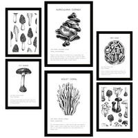 POSTER Set Mit 6 Schwarz Weiße Pilzkomposition A3 & A4 Schwarzer Rahmen - Schwarz, Papier (29/3cm) - Nacnic