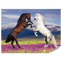 FOTOTAPETA Pre Jedáleň Kone Levanduľové Pole Hory Provensálsko 350 x 256 cm - hnedá/čierna, papier (350/256cm) - Muralo