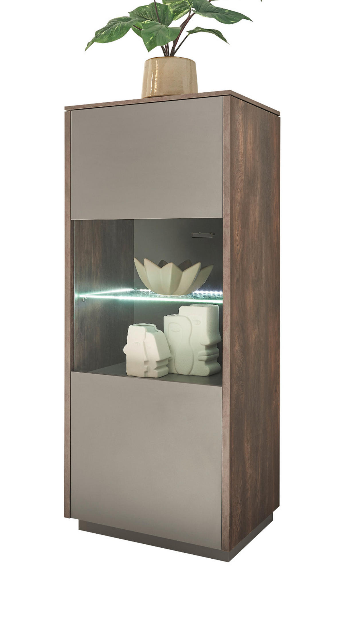 VITRINE in Eiche und grau Midischrank 55 x 130 cm - Schwarz/Grau, Glas/Holzwerkstoff (55/130/40cm) - Furn.Design