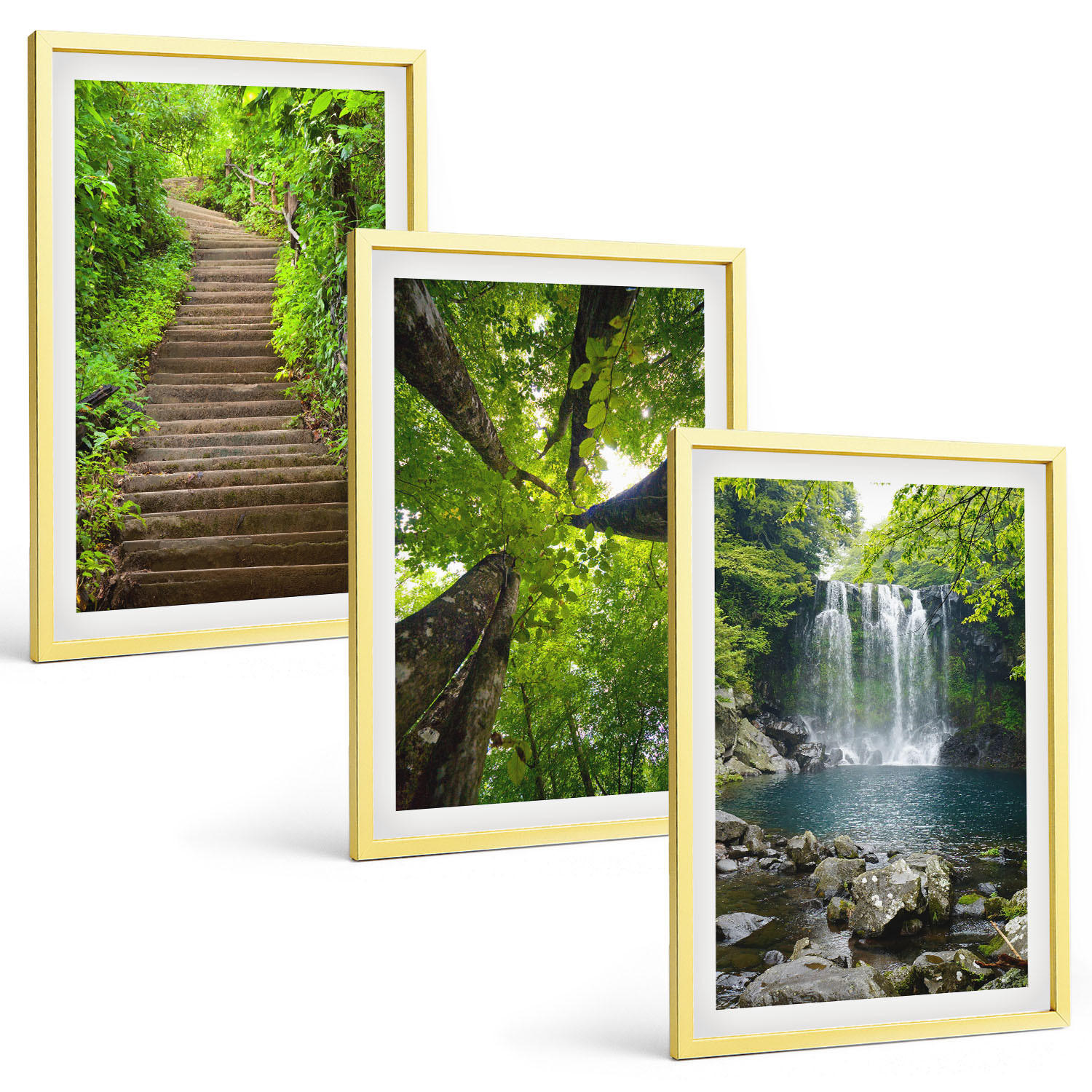 BILDER SET 3er Set - 40x60 cm Goldrahmen - Pfad Wald Wasserfall Vegetation - Goldfarben, Kunststoff (40/60cm) - TULUP