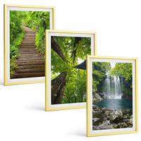 BILDER SET 3er Set - 40x60 cm Goldrahmen - Pfad Wald Wasserfall Vegetation - Goldfarben, Kunststoff (40/60cm) - TULUP