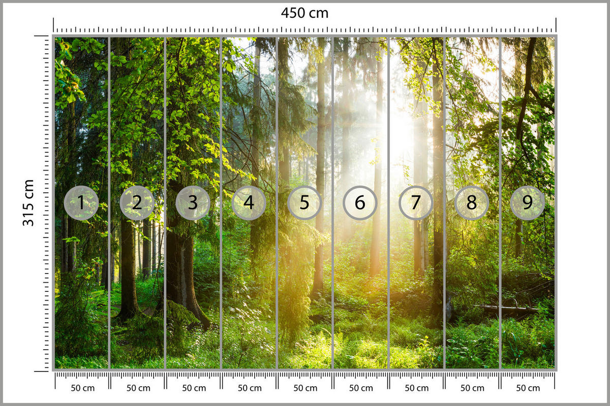 FOTOTAPETE für Wohnzimmer Sonniger Wald Bäume Pflanzen Natur Gras 450x315 - Multicolor, Papier (450/315cm) - Muralo