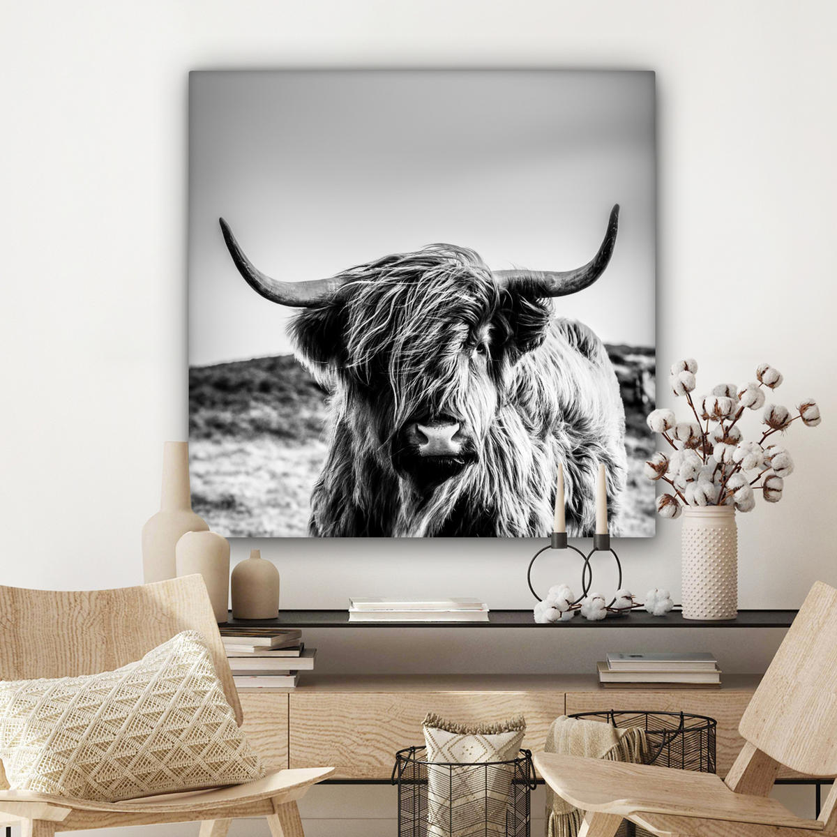OBRAZ NA PLÁTNĚ Kráva - Skotský horal - Černá - Bílá - Zvíře - Příroda - Divoká zvěř 90x90 cm - černá, textil (90/90cm) - MuchoWow