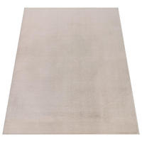 HOCHFLORTEPPICH 160/220 SOFT 380 - Beige, Kunststoff (160/220cm) - Paco Home