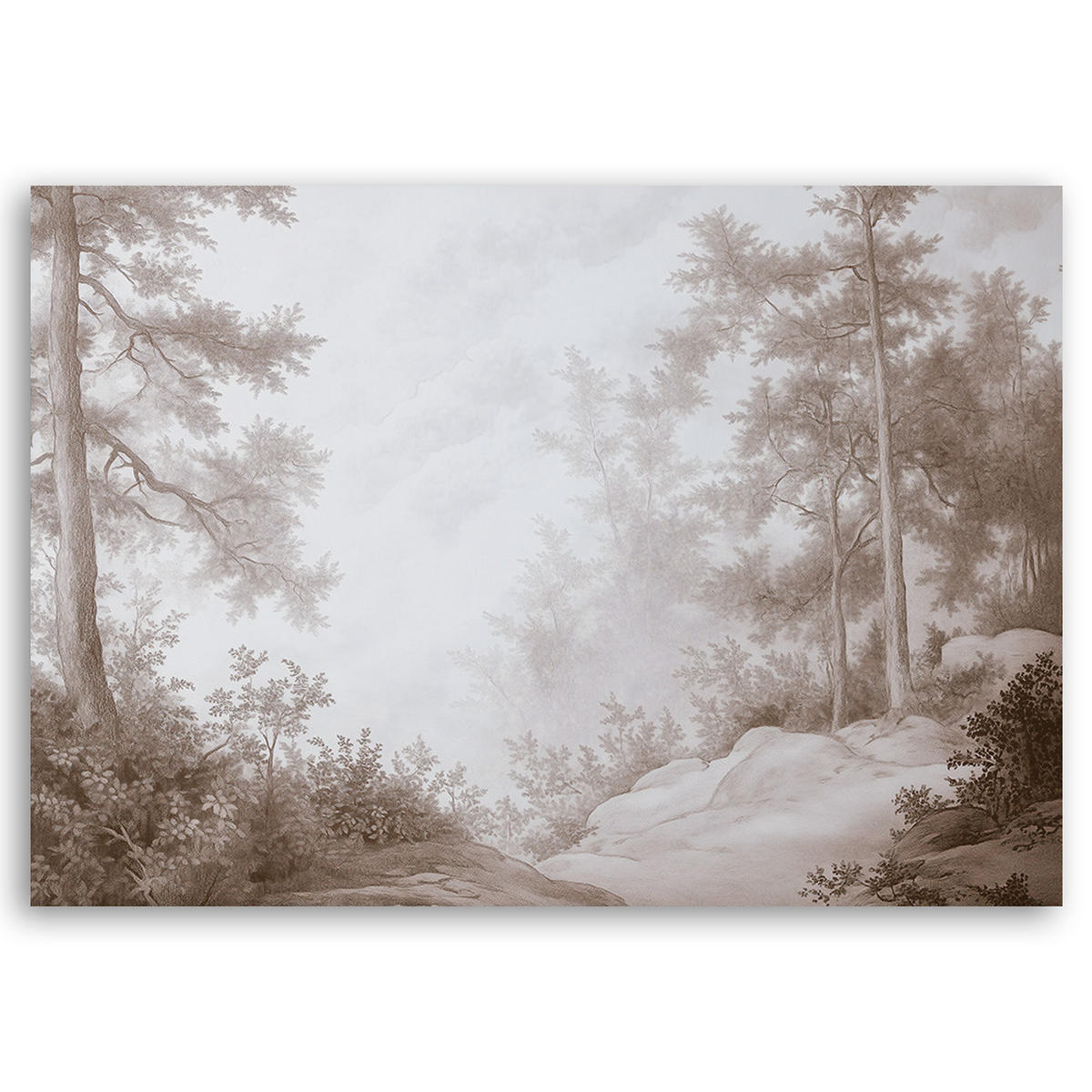WANDBILD wald im nebel - Braun, Textil (60/40cm) - Feeby