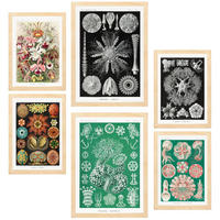 POSTER Set Mit 6 Botanisch Blumig A3 & A4 Rahmen Aus Hellem Holz - Beige, Papier (29/3cm) - Nacnic