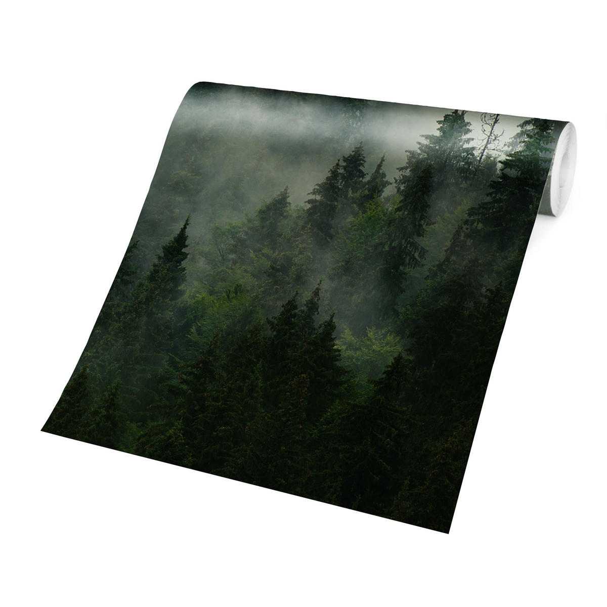 FOTOTAPETE Tiefgrüner Tannenwald im Nebel 240/240 cm - Grün, Papier (240/240cm) - Bilderwelten