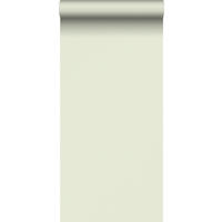 TAPETE Streifen 53 cm x 10.05 m - Grün, Papier (53/0.1cm) - Sanders & Sanders