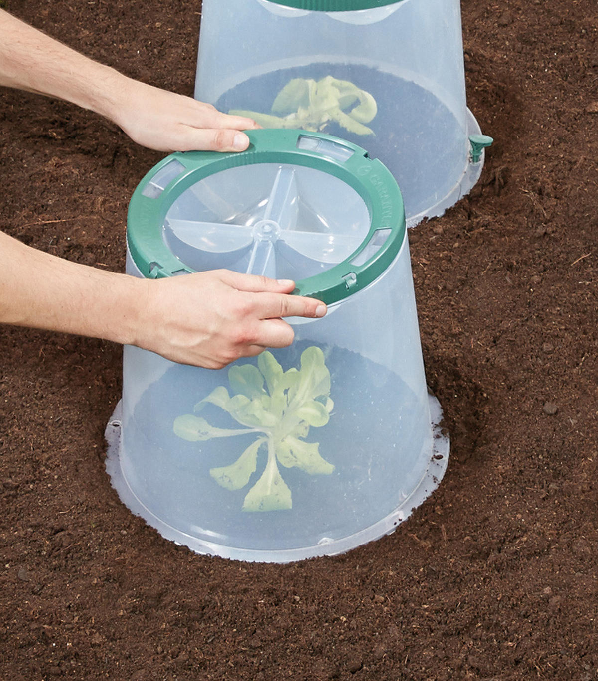 PFLANZGLOCKE Set inkl. Bodenanker - Transparent, Kunststoff (35/30/36cm) - GARANTIA