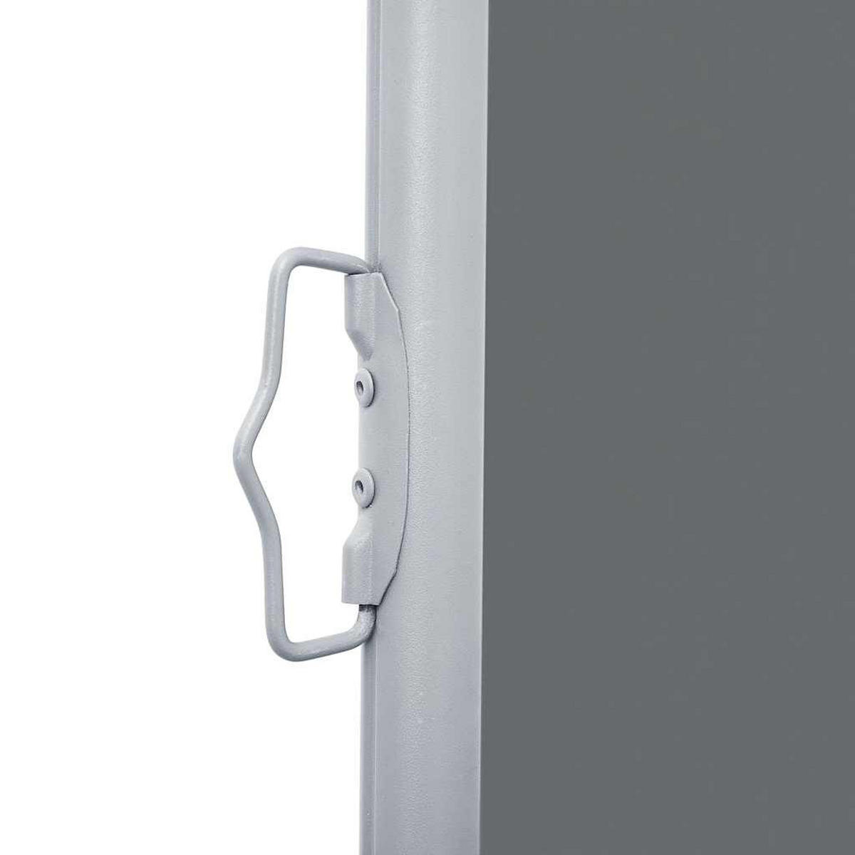 AUSZIEHBARE Seitenmarkise Anthrazit 100/600 Cm - Anthrazit, Textil (600/100/1cm) - vidaXL