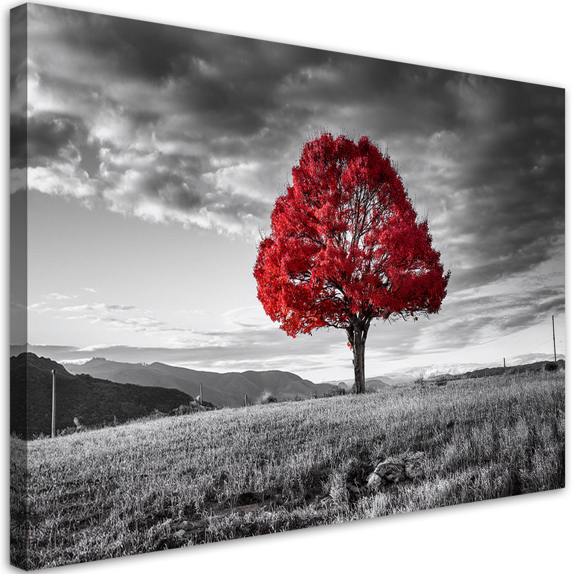 LEINWANDBILD Roter Baum in der Wiesenlandschaft 100x70cm - Grau, Textil (100/70cm) - Feeby