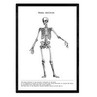 POSTER Anatomie Skelett A3 Rahmenlos - Klar, Papier (29.7/5/42cm) - Nacnic