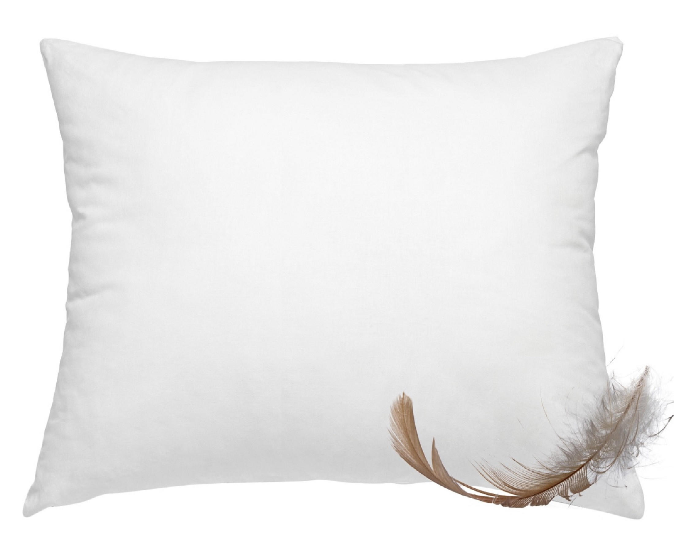 FEDERKISSEN 100% Federn 70/90 cm Bezug aus 100% Baumwolle - Weiß, Textil (90/70cm) - wometo
