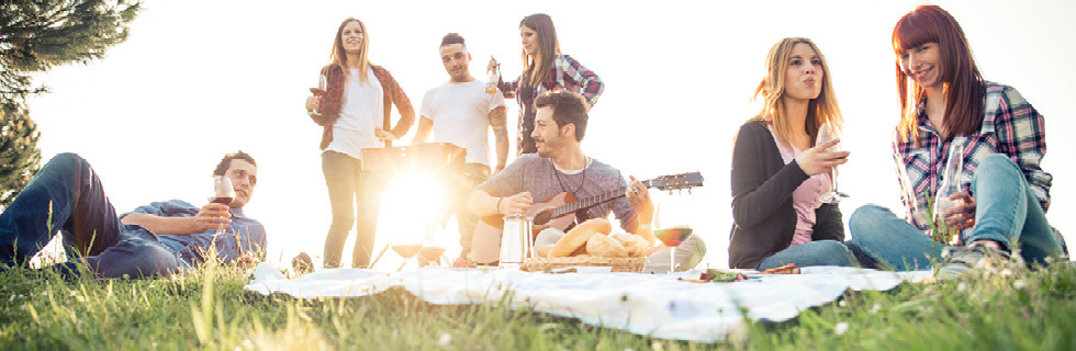 n2_picknick