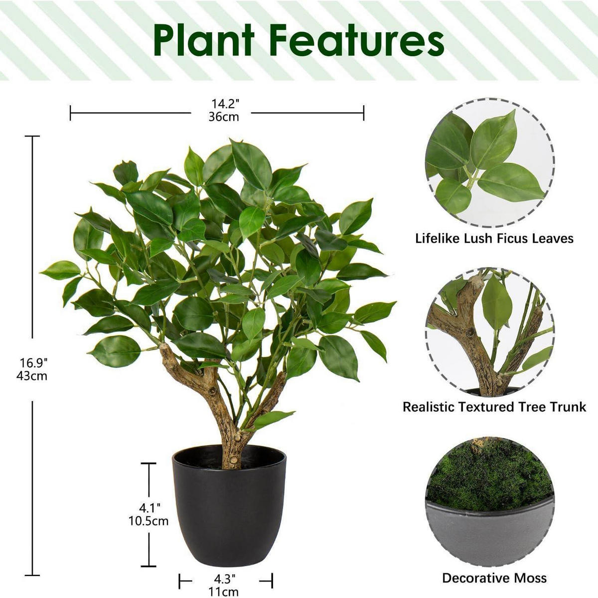 KUNSTPFLANZE Ficus 43 cm Grün - Grün, Kunststoff (43cm)