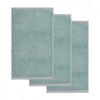 GÄSTETUCH SUPERWUSCHEL 3ER PACK - Mintgrün, Textil (30/50cm) - MÖVE