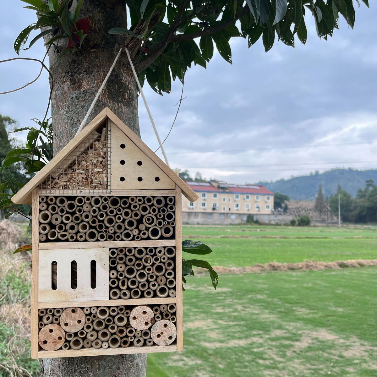 INSEKTENHOTEL 22.5/9.1/37.5 cm - Naturfarben, Holz (9.1/37.5/22.5cm) - Authentics