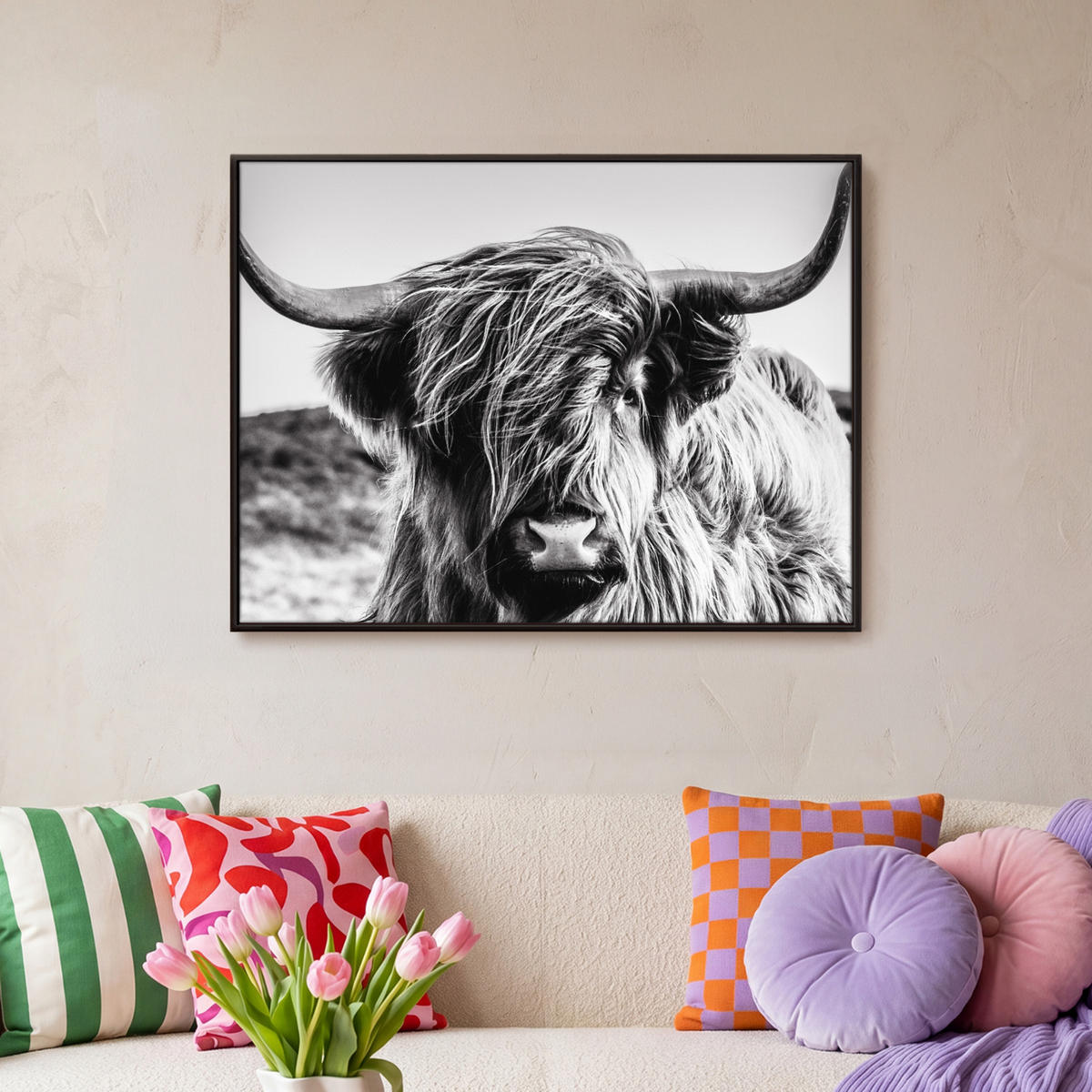 LEINWAND Bilder mit Rahmen - Kuh - Schottischer Hochländer - Schwarz - Weiß - Tier - Natur - Wildtiere - 70x50 - Schwarz, Textil (70/50cm) - MuchoWow