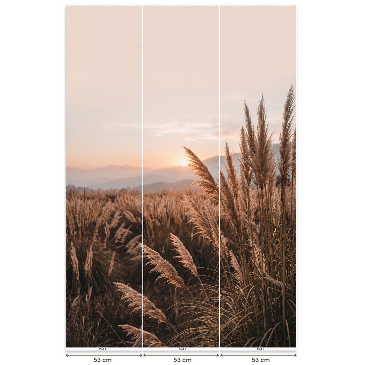 TAPETE - Gras - Feld - Sonne - Natur - 160x240 cm - Sandfarben, Papier (160/240cm) - OnlyWow