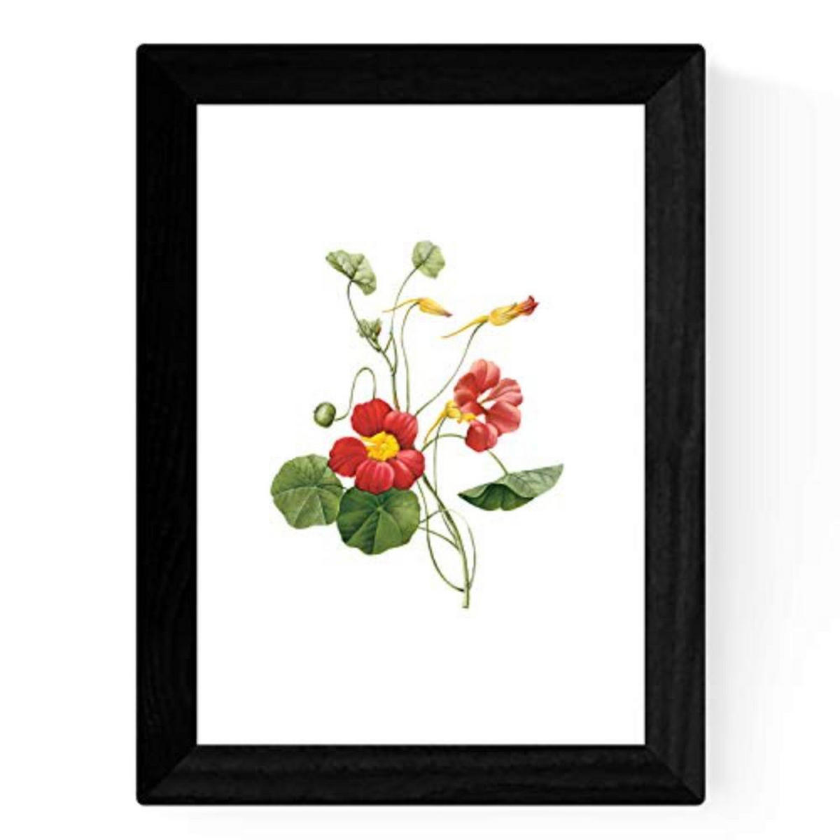 POSTER Set mit 4 Botanischen Stils Sensitive A3 Rahmenlos - Klar, Papier (29.7/3cm) - Nacnic