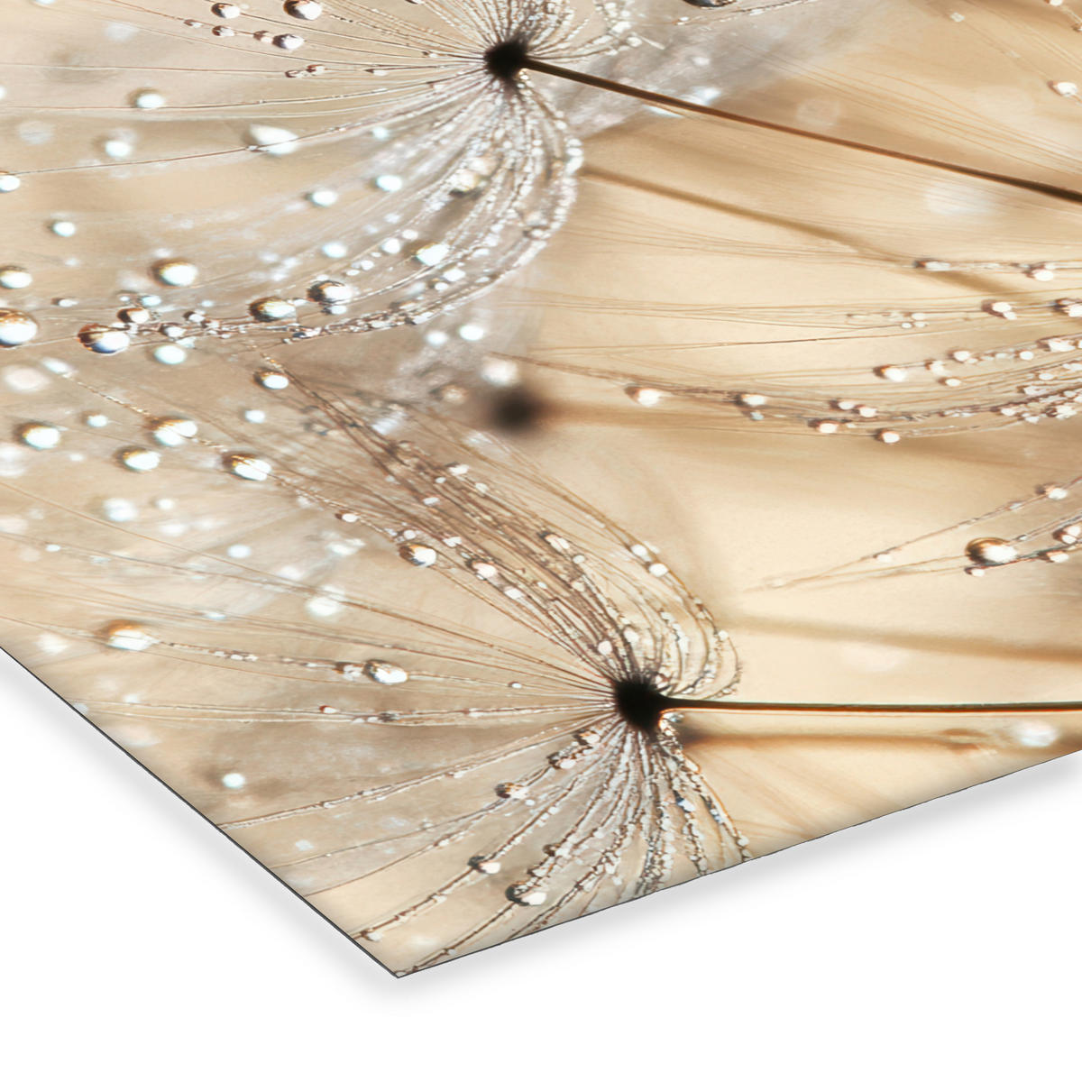 POSTER MIT RAHMEN Löwenzahn - Abstrakt - Natur - Beige 40x30 cm - Braun, Papier (40/30cm) - MuchoWow