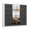 SCHWEBETÜRENSCHRANK Alba Weiß/Schwarz + Spiegel mit LED Beleuchtung 250 cm - Schwarz/Alufarben, Glas/Holzwerkstoff (250/218/61cm) - imoebel24