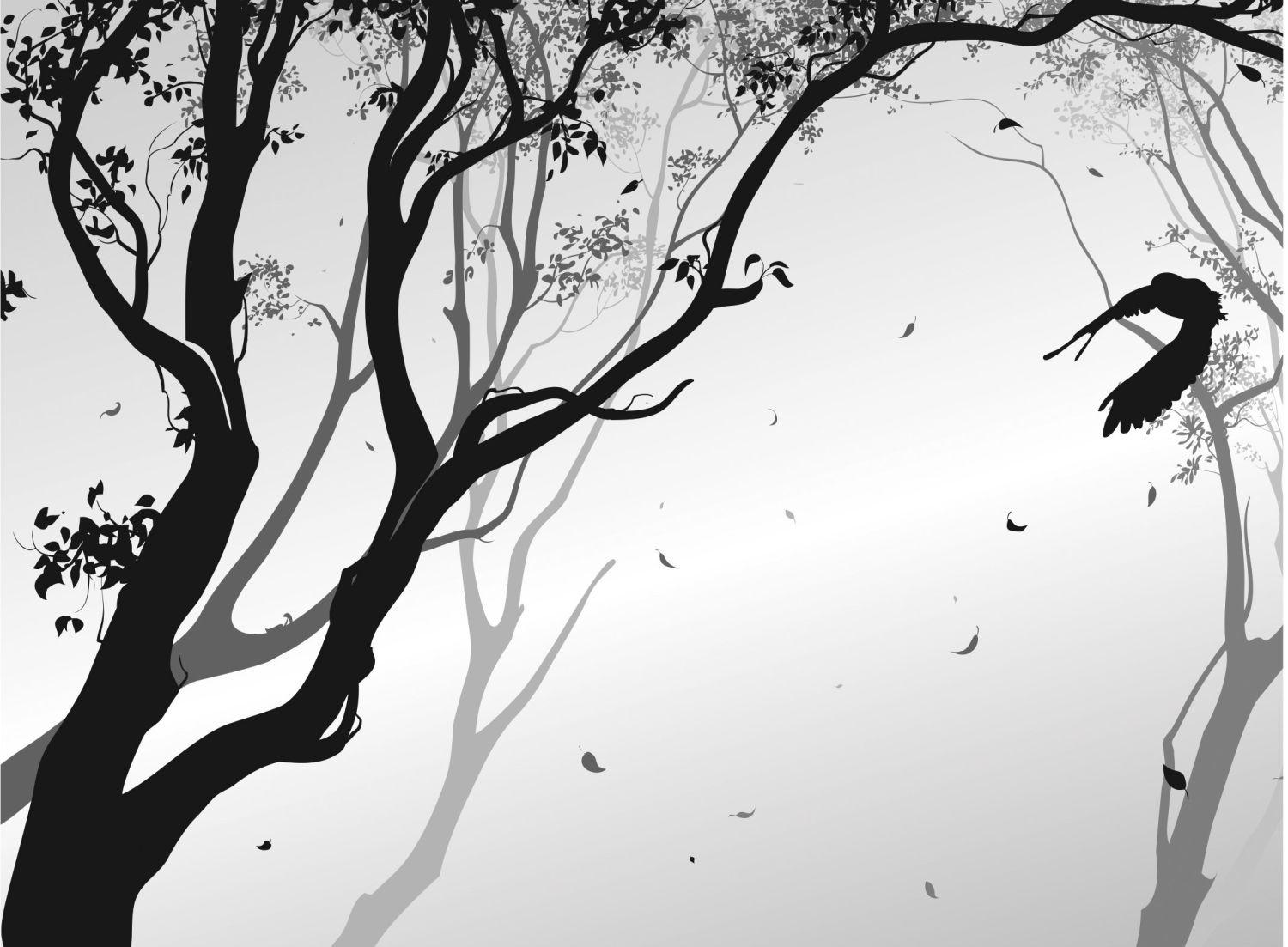 FOTOTAPETE Bäume 375 x 270 cm - Schwarz, Papier (375/270cm) - Sanders & Sanders
