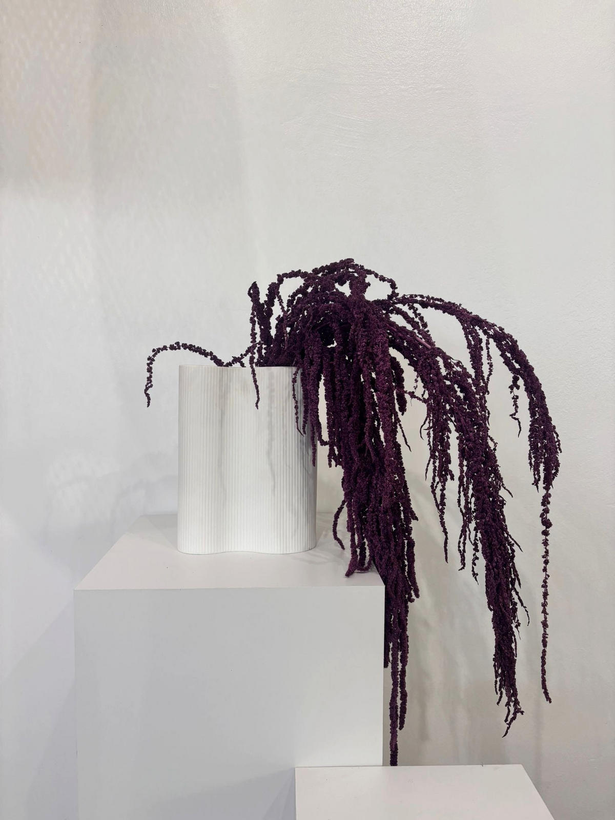 AMARANTHUS Stiele - curry / 30 cm - Currygelb, Naturmaterialien (30cm) - Lykke & You