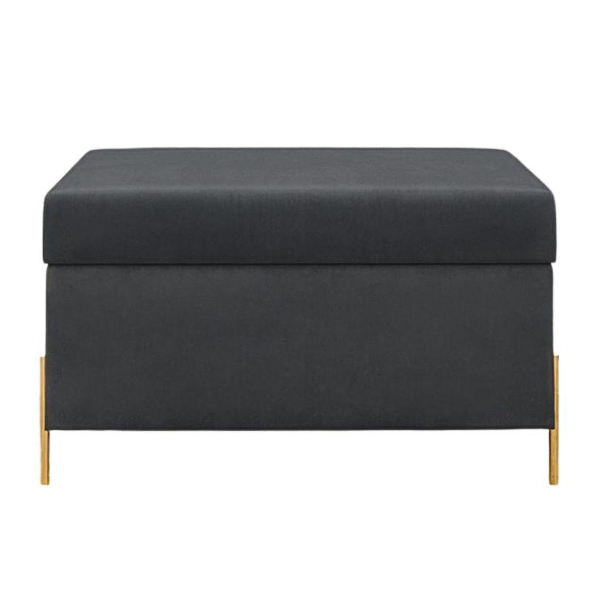 HOCKERBANK Borgo Mit Stauraum, Samt Grau, Metal Gold - Goldfarben/Grau, Holzwerkstoff/Metall (80/46/37cm) - Dancan
