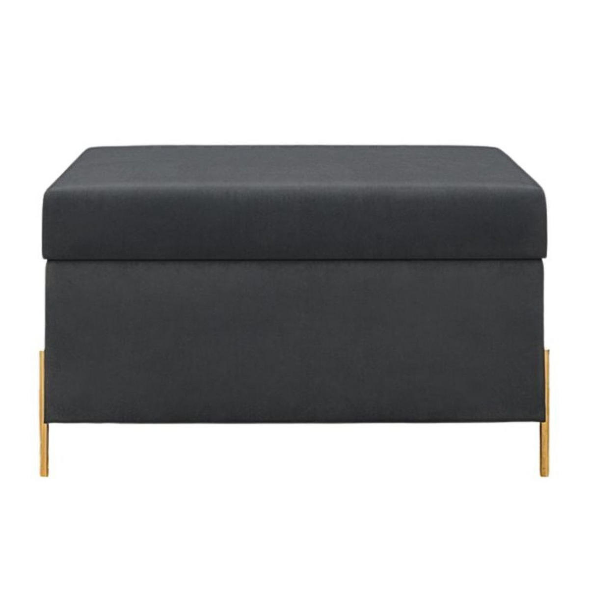HOCKERBANK Borgo Mit Stauraum, Samt Grau, Metal Gold - Goldfarben/Grau, Holzwerkstoff/Metall (80/46/37cm) - Dancan