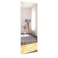 SPIEGEL Nady 40x120cm - Transparent, Holzwerkstoff (120/40/3.5cm) - moebel17