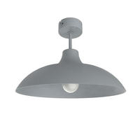 DECKENLEUCHTE - Grau, Metall (30/30/20cm) - Lumicom