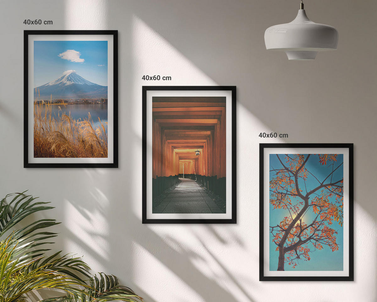 BILDER SET 3er Set - 40x60 cm Schwarzer Rahmen - Japanische Naturlandschaften - Schwarz, Kunststoff (40/60cm) - TULUP