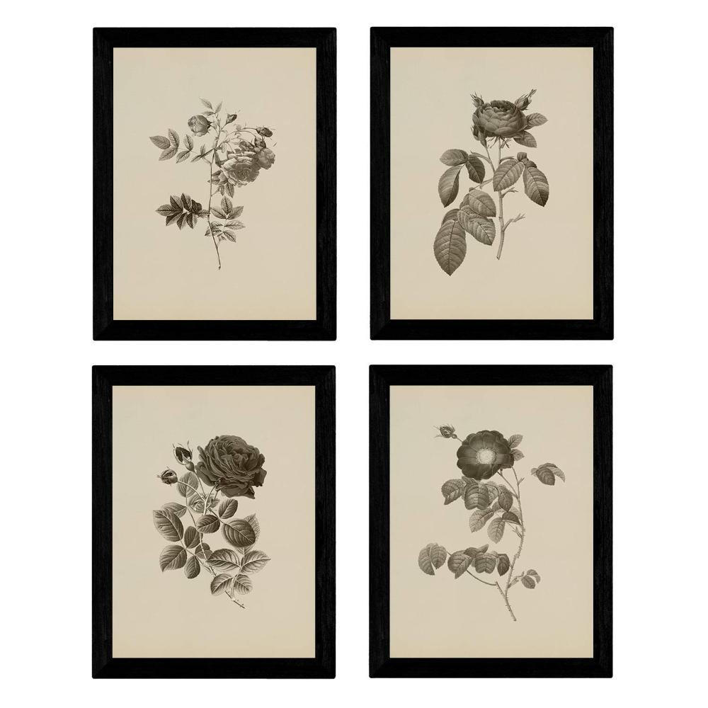 POSTER Set mit 4 Botanischen Stils Rosenkranz Jahrgang A3 Rahmenlos - Klar, Papier (29.7/3cm) - Nacnic