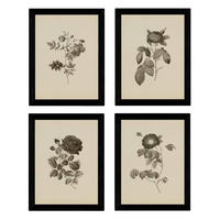 POSTER Set mit 4 Botanischen Stils Rosenkranz Jahrgang A3 Rahmenlos - Klar, Papier (29.7/3cm) - Nacnic