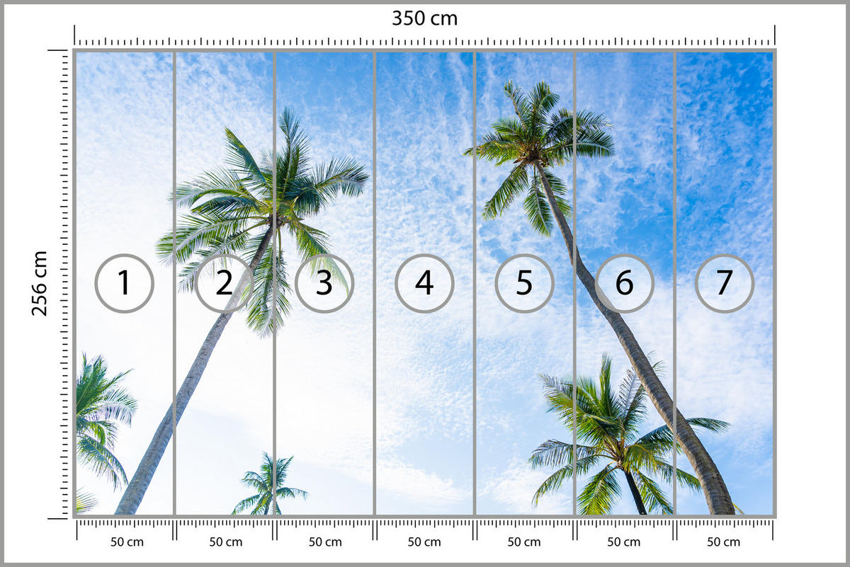 FOTOTAPETE für Badezimmer Palmen Kokos Himmel Untenblick 350x256 - Blau/Weiß, Papier (350/256cm) - Muralo