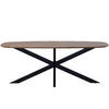 ESSTISCH oval aus Mangoholz 240cm, braun - Braun, Holz (240/100/76cm) - Giga Meubel