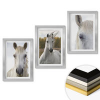 WANDBILDER 3er Set - 20x30 cm Silberner Rahmen - Weiße Pferde in der Natur - Silberfarben, Kunststoff (20/30cm) - ArtPrintCave