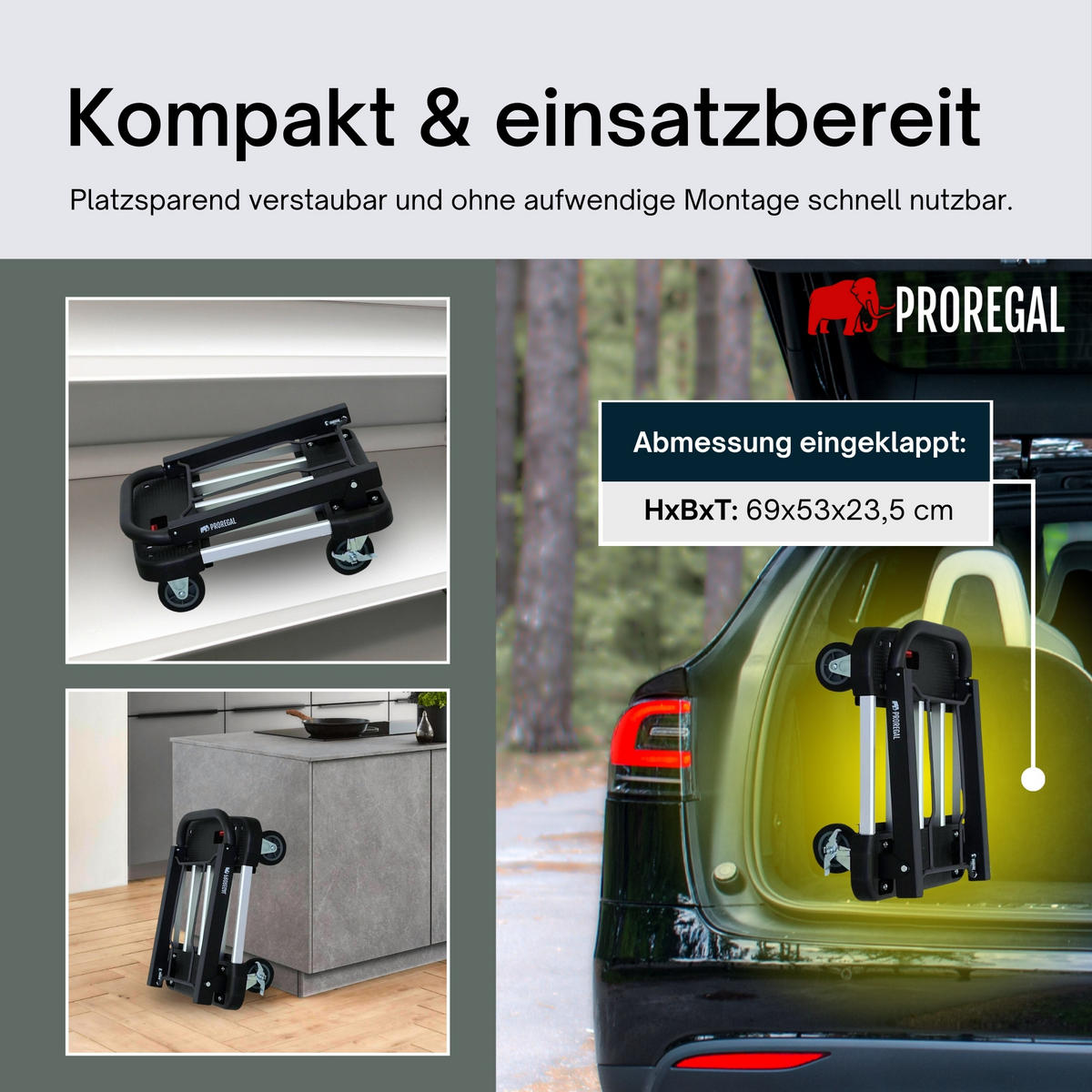 TRANSPORTWAGEN Taurus klappbar 150 97x46x76cm Traglast 150kg - Silberfarben, Metall (76/46/97cm) - PROREGAL