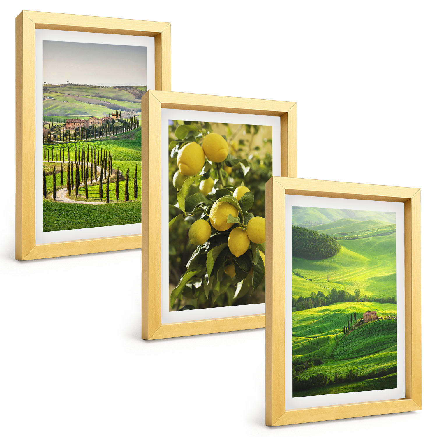 BILDER SET 3er Set - 20x30 cm Goldrahmen - Italienische Zitrusfrüchte und Hügel - Goldfarben, Kunststoff (20/30cm) - TULUP