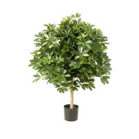 KÜNSTLICHE Schefflera - Phoebe 110 cm - Multicolor, Kunststoff (110cm) - aplanta