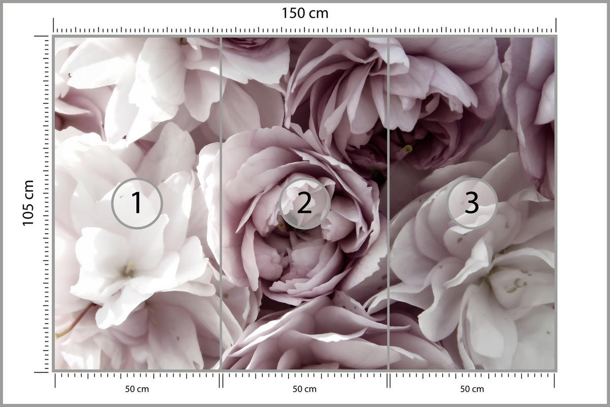 FOTOTAPETE für Badezimmer Pastell Pfingstrosen Blumen 150x105 - Beige/Violett, Papier (150/105cm) - Muralo