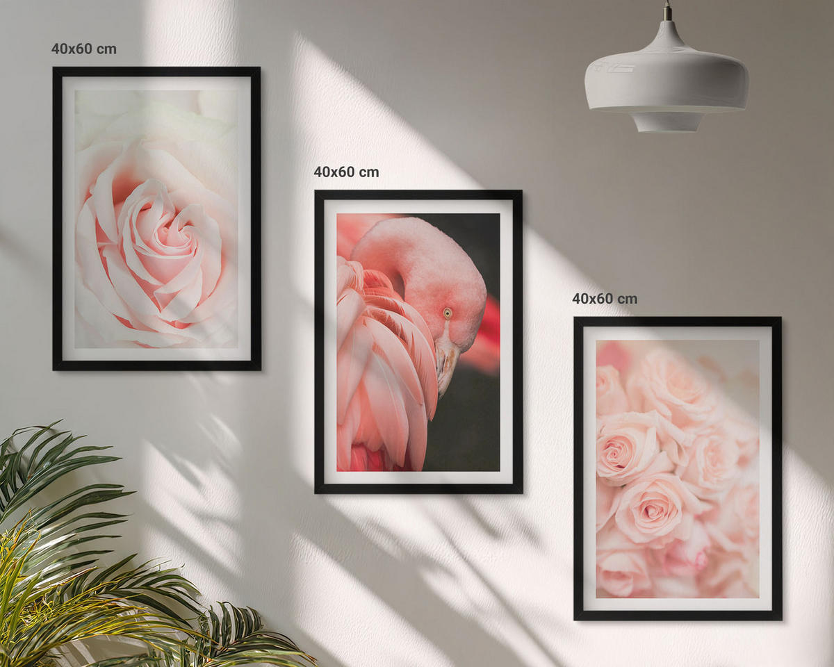 WANDBILDER 3er-Set - 40x60 cm Schwarzer Rahmen - Zartrosa Flamingos - Schwarz, Kunststoff (40/60cm) - ArtPrintCave
