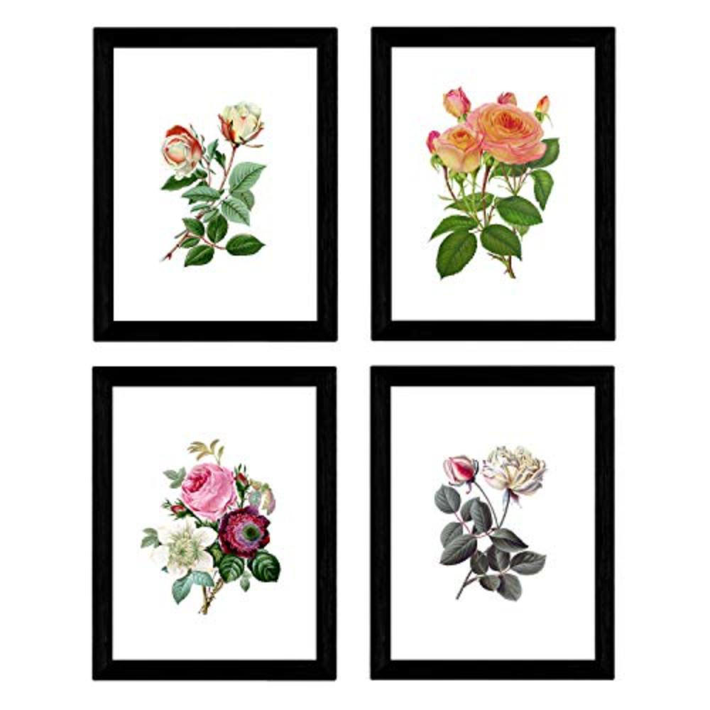 POSTER Set mit 4 Botanische Weiß Hintergrund Rosen A3 Rahmenlos - Klar, Papier (29.7/3cm) - Nacnic